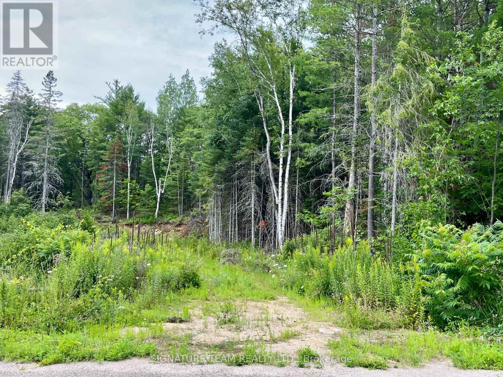 1011 Mcgrath Road, Bonnechere Valley, Ontario  K0J 1T0 - Photo 4 - X13594420