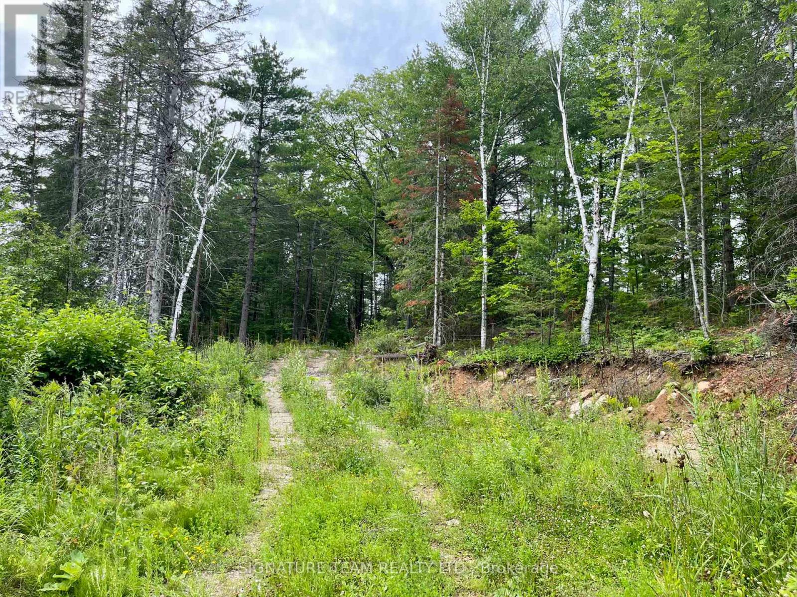 1011 Mcgrath Road, Bonnechere Valley, Ontario  K0J 1T0 - Photo 5 - X13594420