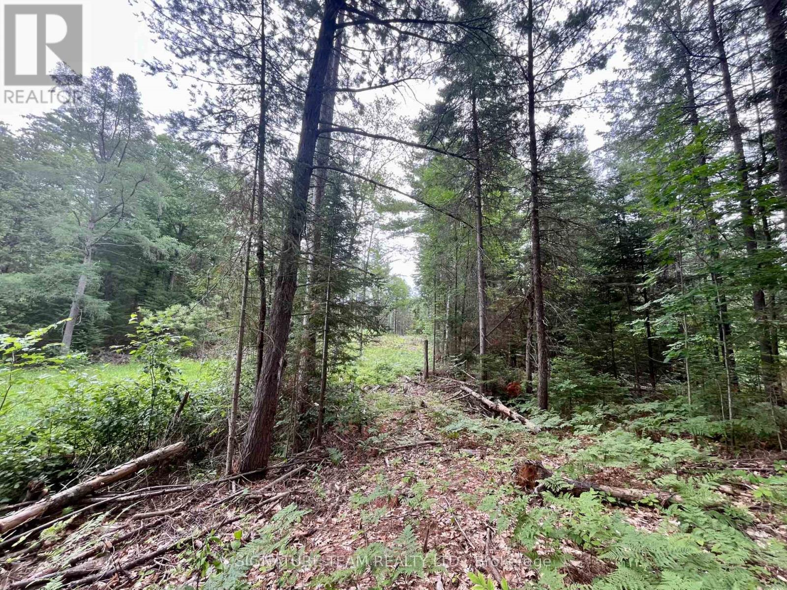 1011 Mcgrath Road, Bonnechere Valley, Ontario  K0J 1T0 - Photo 8 - X13594420