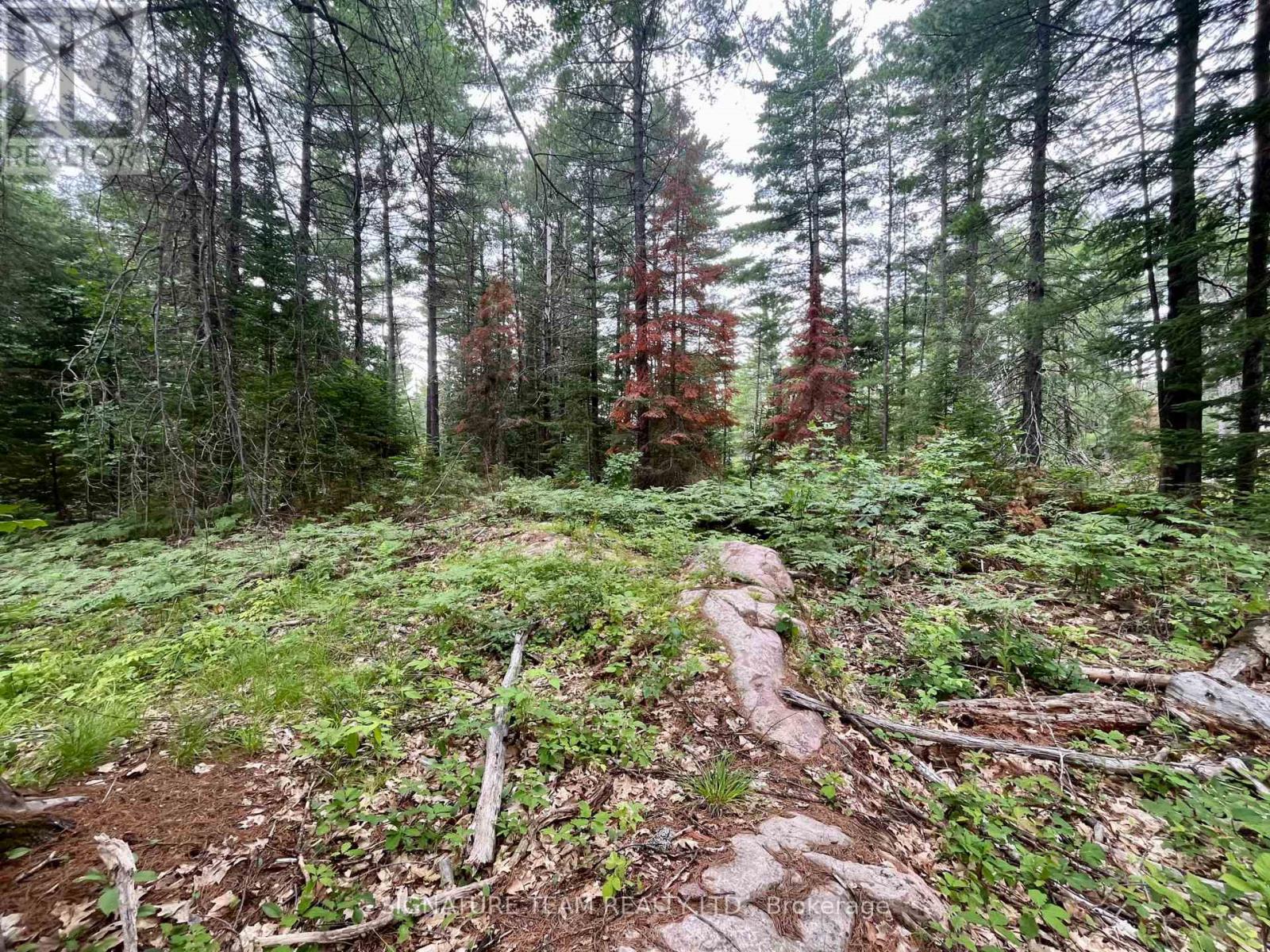 1011 Mcgrath Road, Bonnechere Valley, Ontario  K0J 1T0 - Photo 9 - X13594420