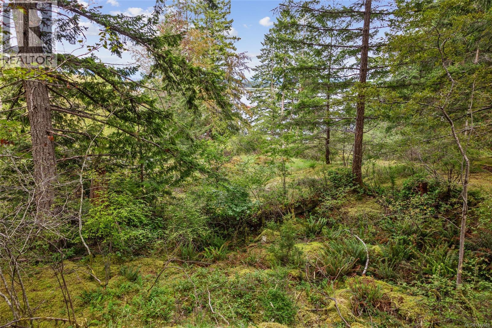 Lot B Hyacinthe Bay Rd, Quadra Island, British Columbia   - Photo 8 - 1043953