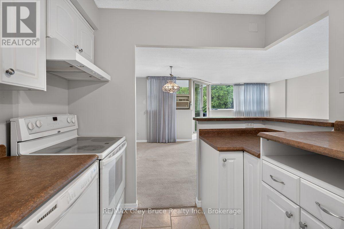 208 - 860 9th Street E, Owen Sound, Ontario  N4K 1R2 - Photo 11 - X13594912