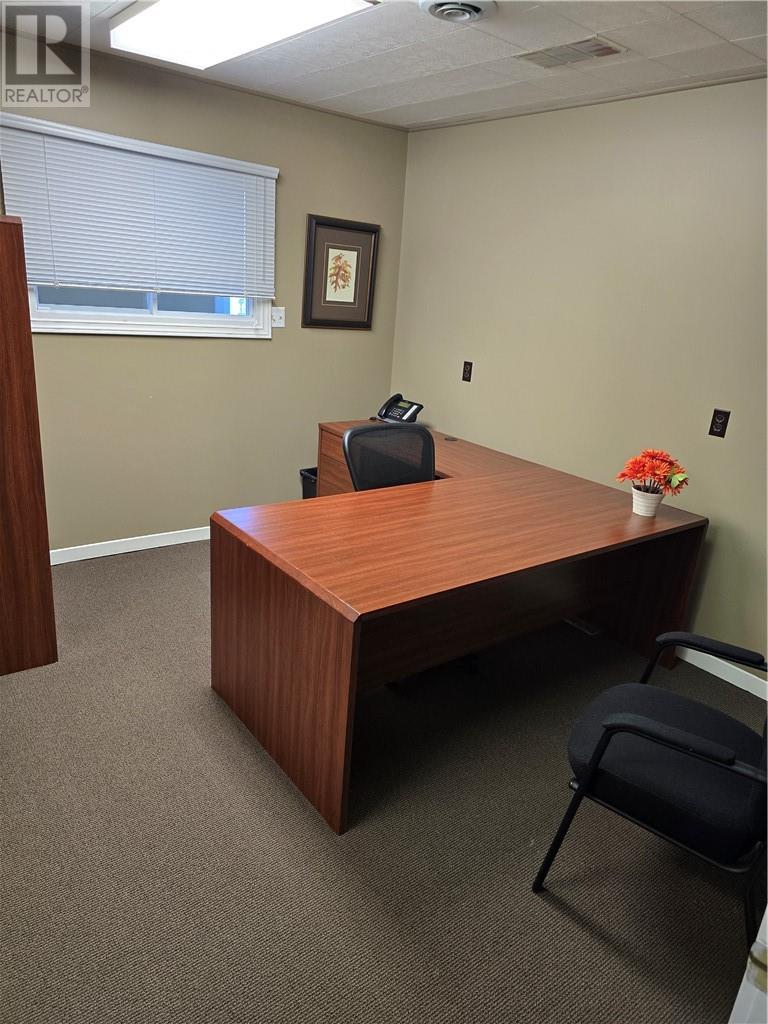 667 St Clair Street, Greater Sudbury, Ontario  P3E 4G9 - Photo 11 - 2126668