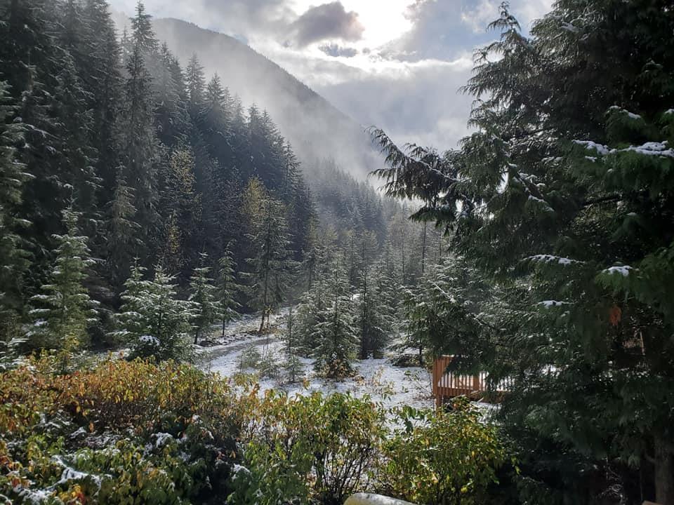 Lmv 7 Old Hope Princeton Highway, Sunshine Valley, Sunshine Valley, British Columbia  V0X 1L5 - Photo 29 - R3097529