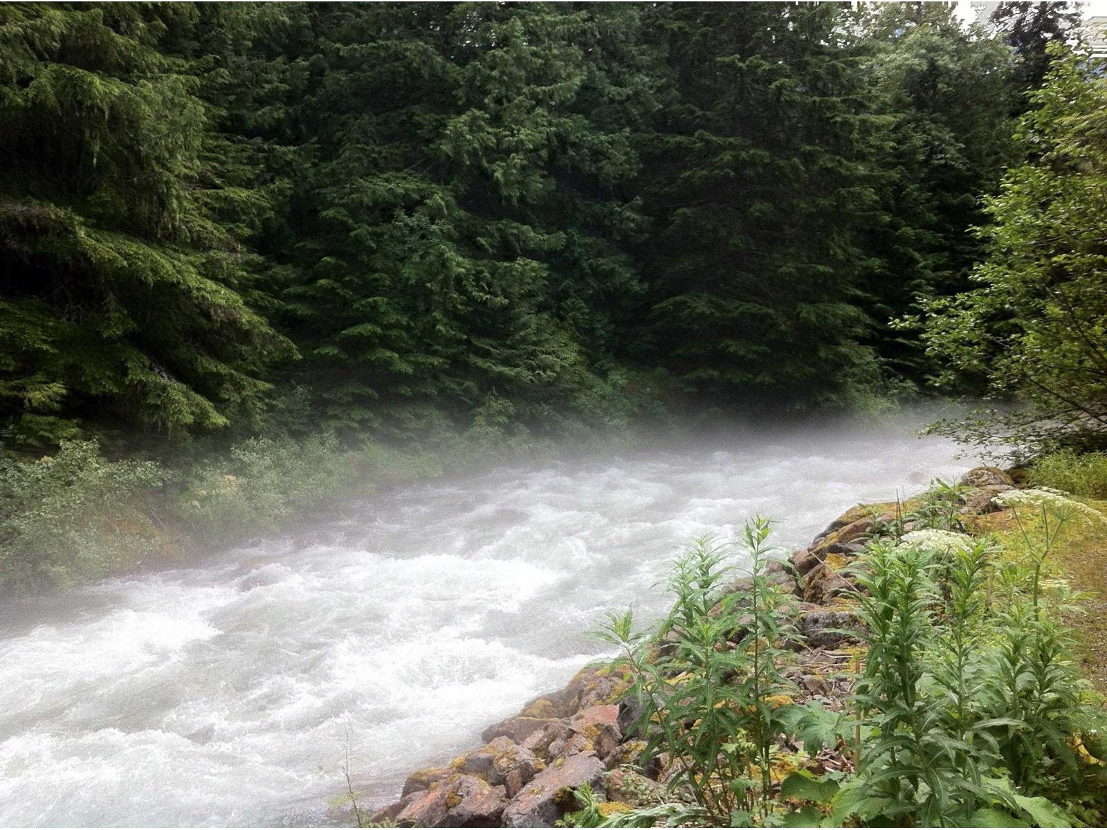 Lmv 7 Old Hope Princeton Highway, Sunshine Valley, Sunshine Valley, British Columbia  V0X 1L5 - Photo 23 - R3097529
