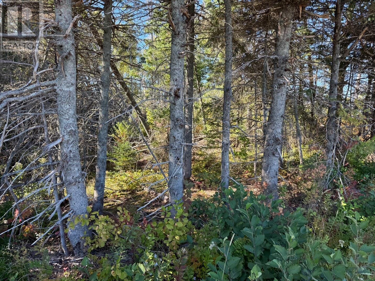 0 Rte 310, Howe Bay, Prince Edward Island  C0A 2B0 - Photo 5 - 202618368
