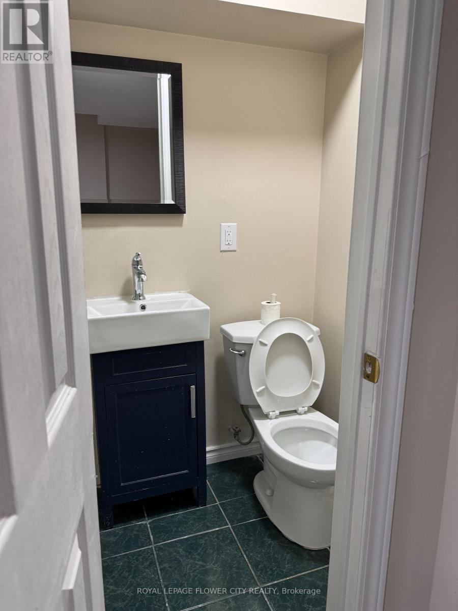 Basement - 5435 Richmeadow Mews, Mississauga (Hurontario), Ontario  L4Z 3T5 - Photo 19 - W13595430