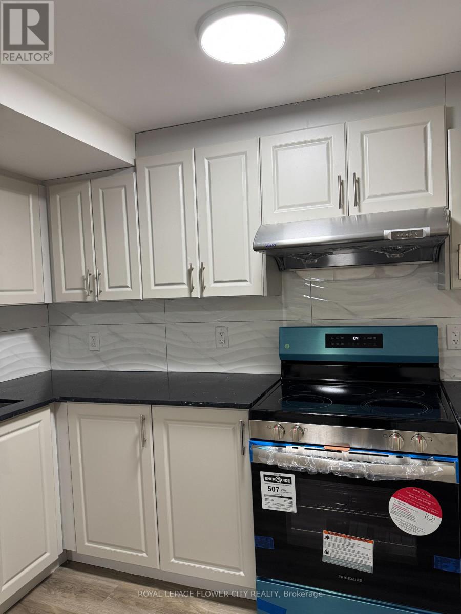 Basement - 5435 Richmeadow Mews, Mississauga (Hurontario), Ontario  L4Z 3T5 - Photo 3 - W13595430