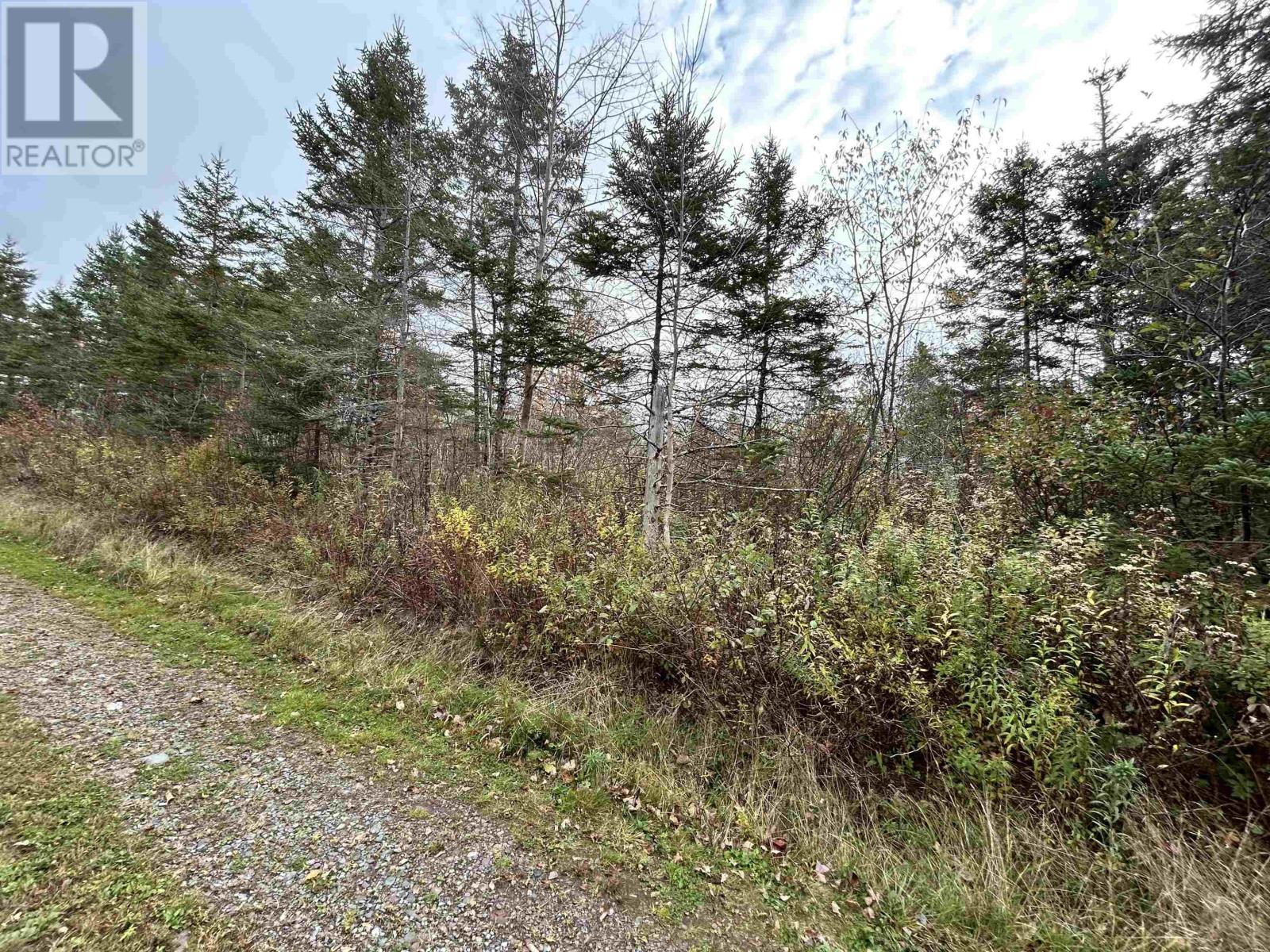 Guysborough Road, St Andrew's, Nova Scotia B0H 1X0 - Photo 5 - 202605782