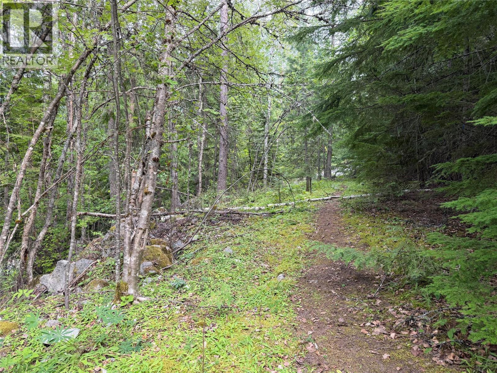 Choquette Avenue Lot# 4, Nelson, British Columbia V1L 5V1 - Photo 10 - 10395559