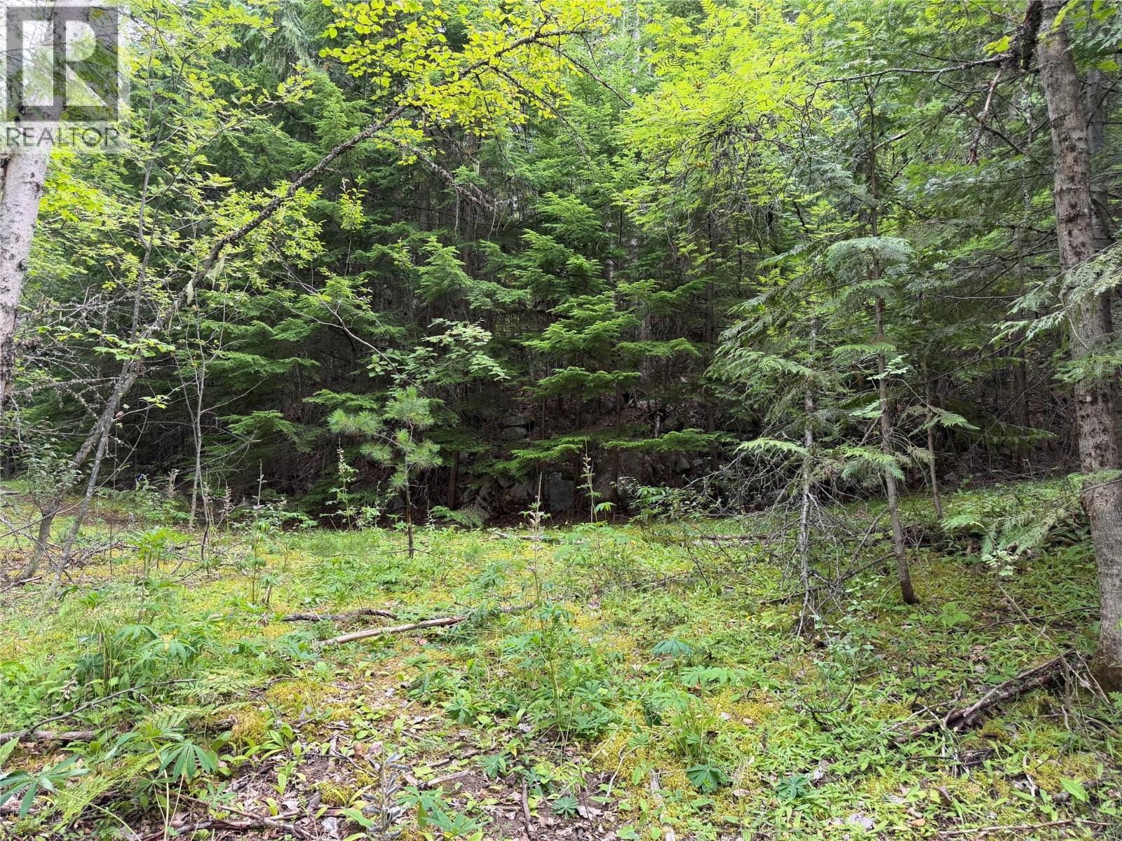 Choquette Avenue Lot# 4, Nelson, British Columbia V1L 5V1 - Photo 12 - 10395559