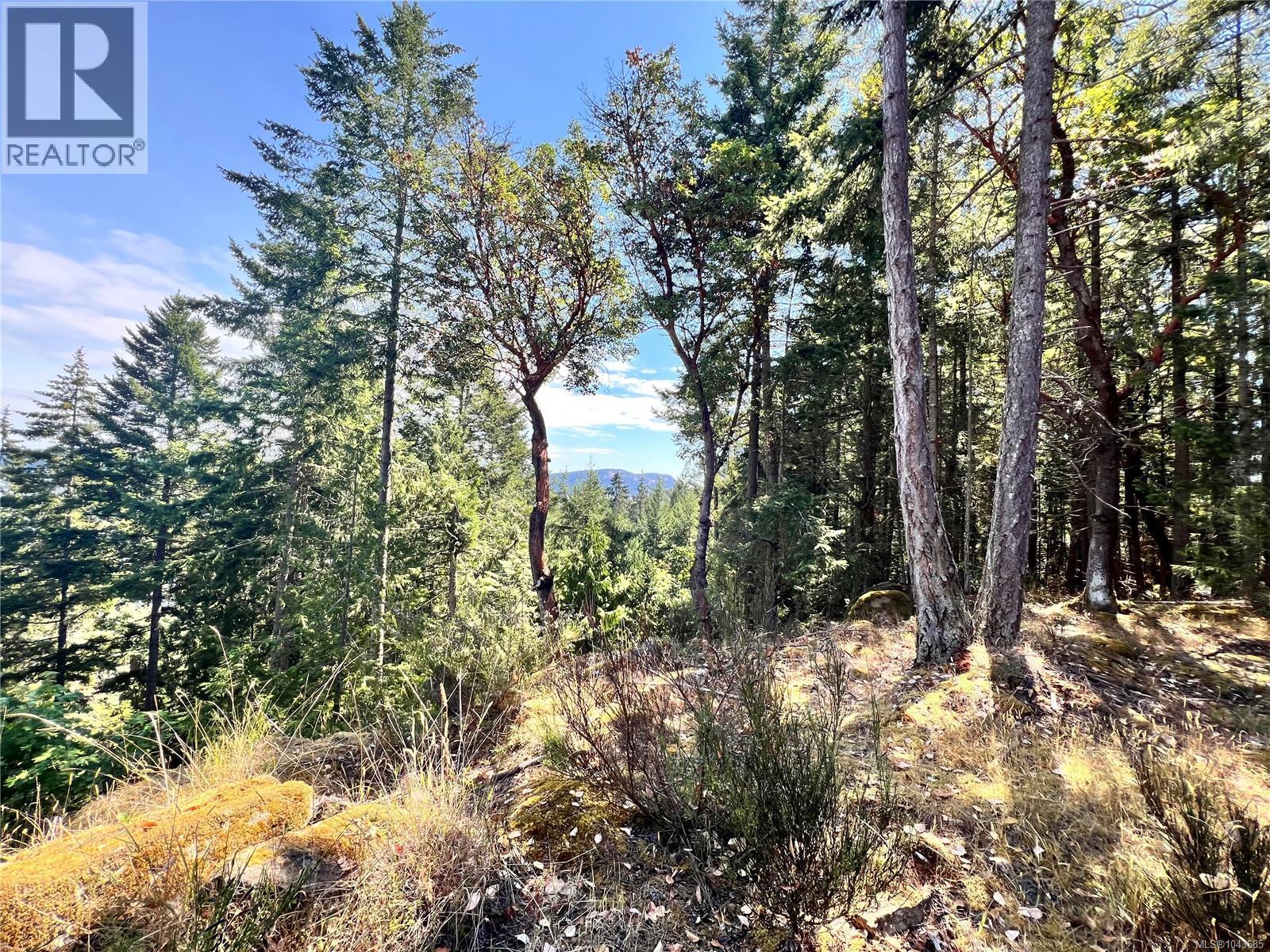 131 Rainforest Rd, Salt Spring, British Columbia V8K 1S4 - Photo 2 - 1043685