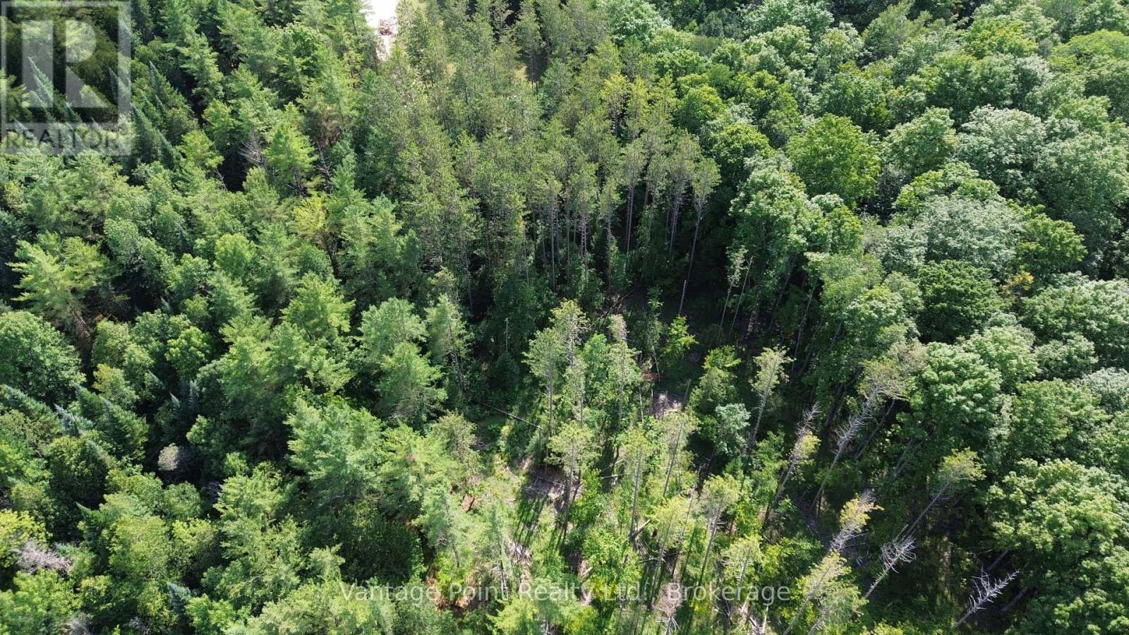 796331 East Back Line, Chatsworth, Ontario  N0H 1C0 - Photo 29 - X13595964