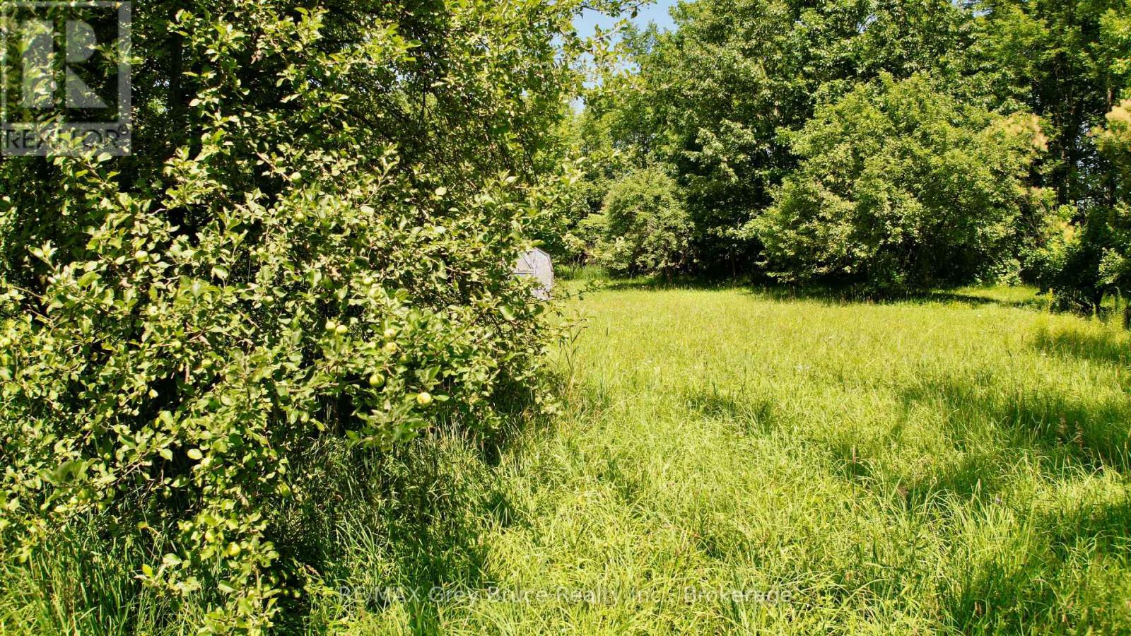 Part 1 & 2 Purple Valley Road, South Bruce Peninsula, Ontario  N0H 2T0 - Photo 22 - X13596038
