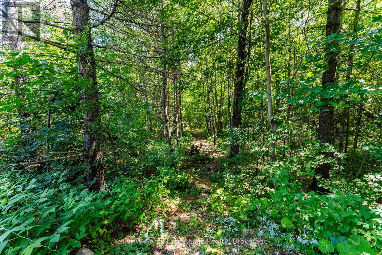 753 Honey Harbour Road, Georgian Bay (Baxter), Ontario L0K 1S0 - Photo 43 - X13596384