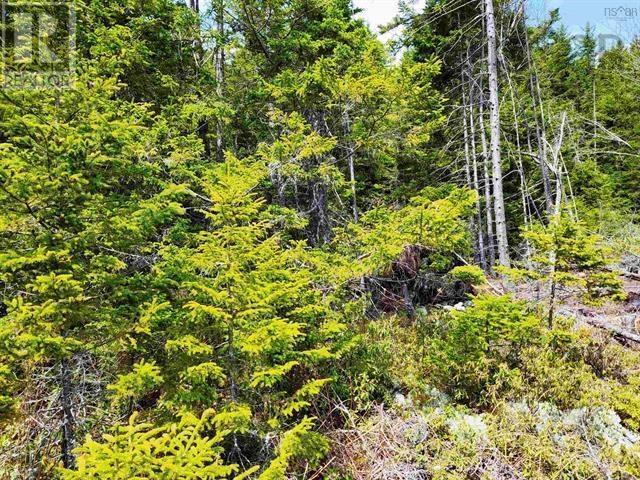 Lot Back Road, Voglers Cove, Nova Scotia B0J 2H0 - Photo 2 - 202417603