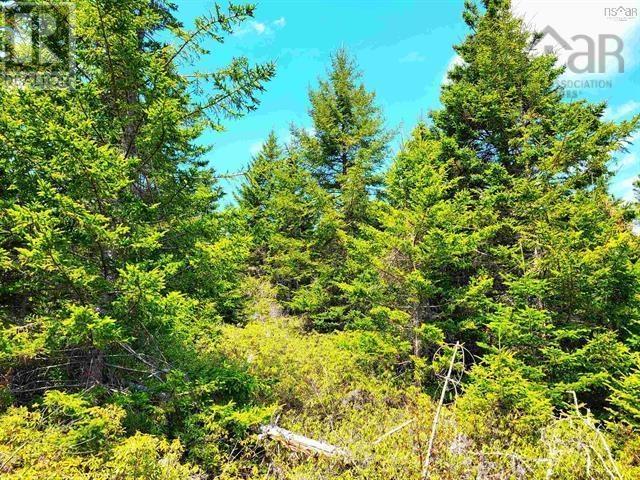 Lot Back Road, Voglers Cove, Nova Scotia B0J 2H0 - Photo 3 - 202417603