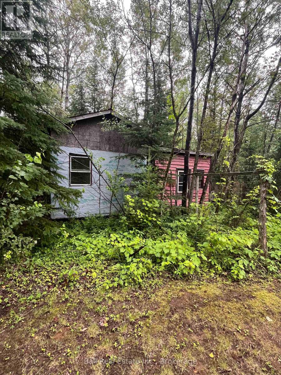 540 Rose Island Road, Wollaston, Ontario  K0L 1P0 - Photo 15 - X13596584