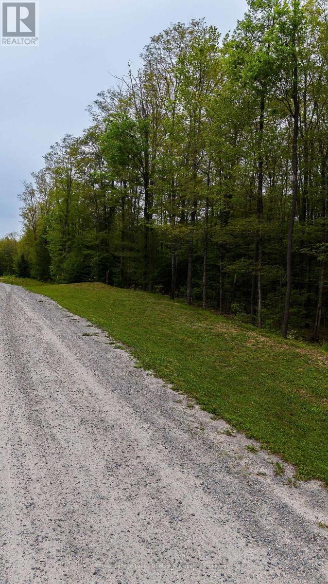 Lot 11 Millie's Way, Armour, Ontario  P0A 1C0 - Photo 3 - X13596594