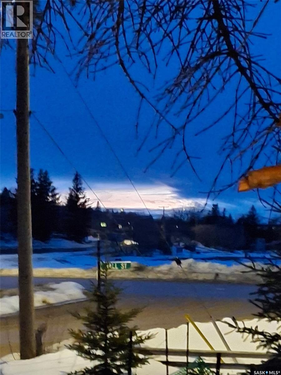402 Lake Avenue, Manitou Beach, Saskatchewan  S0K 4T1 - Photo 69 - SK043355
