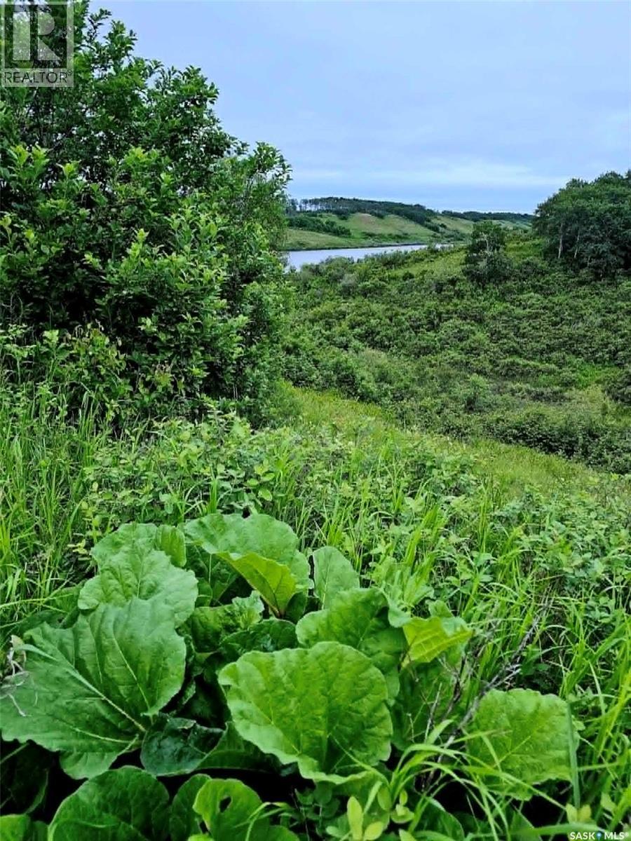 Kaposvar Waterfront 19.48 Acres, Kaposvar Lake, Saskatchewan  S0A 0X0 - Photo 2 - SK043284