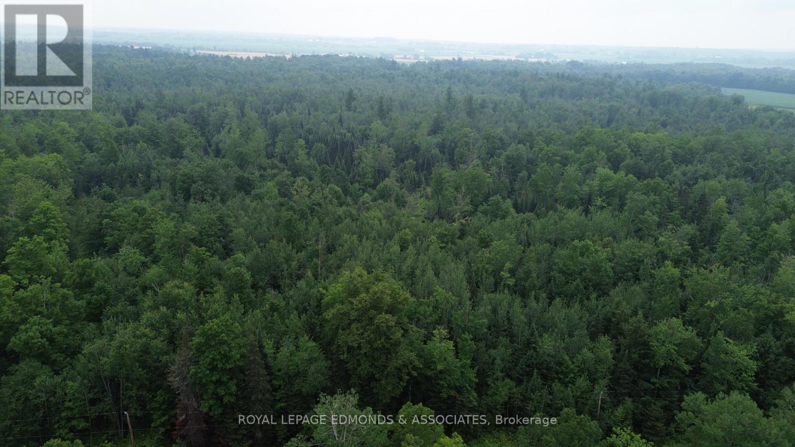 710 Westmeath Road, Whitewater Region, Ontario  K8A 6W2 - Photo 6 - X13596928