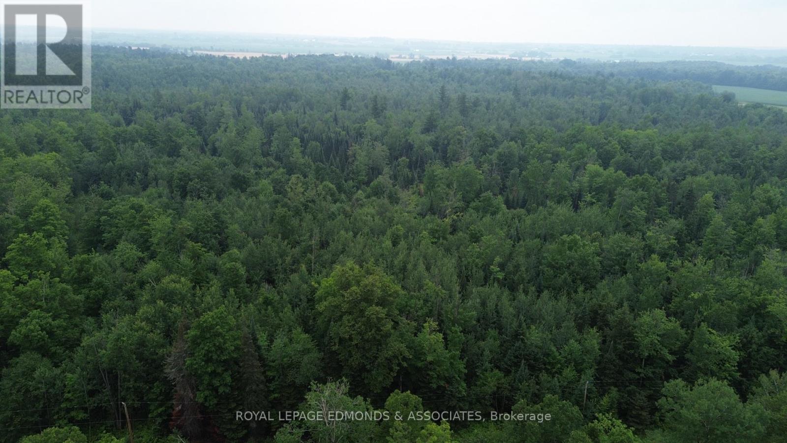 710 Westmeath Road, Whitewater Region, Ontario  K8A 6W2 - Photo 7 - X13596928