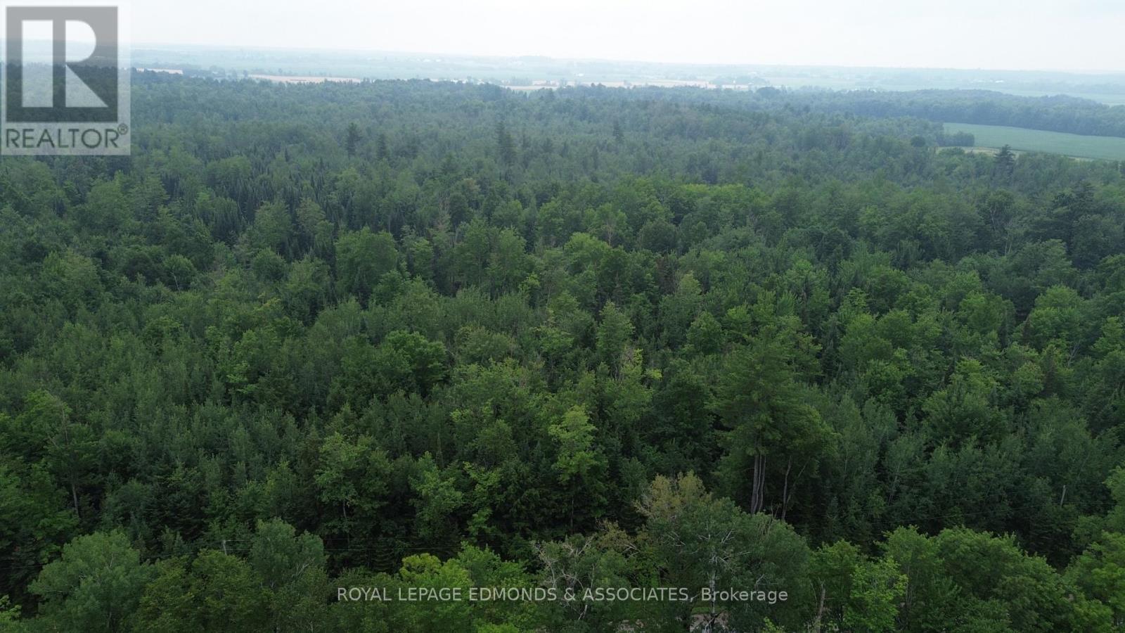 710 Westmeath Road, Whitewater Region, Ontario  K8A 6W2 - Photo 8 - X13596928