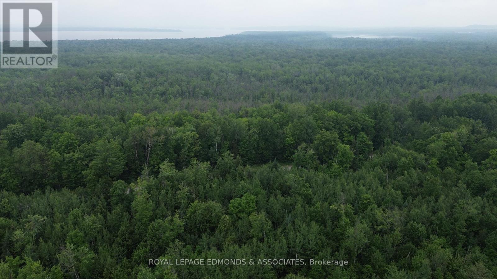 710 Westmeath Road, Whitewater Region, Ontario  K8A 6W2 - Photo 9 - X13596928