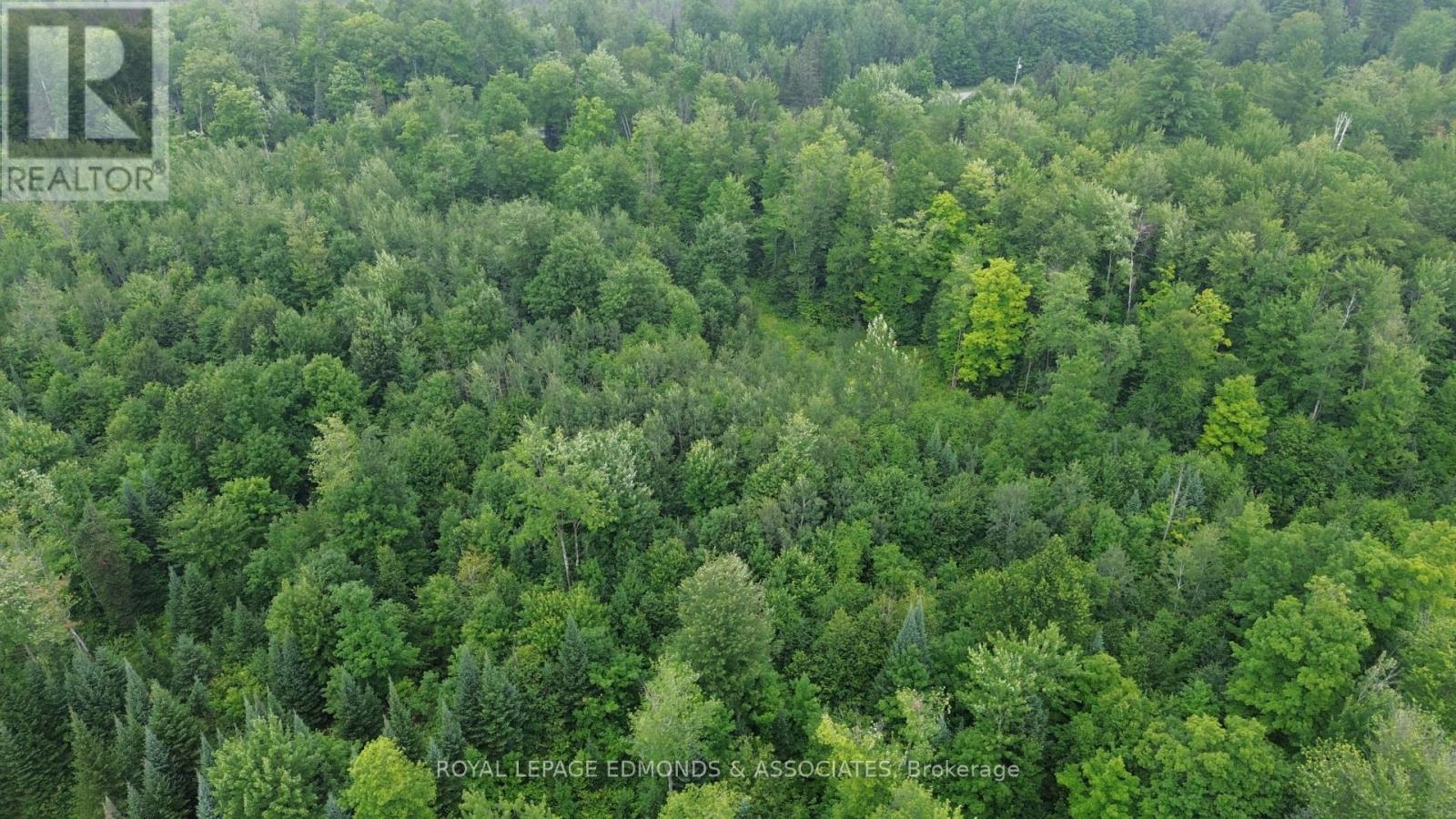 680 Westmeath Road, Whitewater Region, Ontario  K8A 6W2 - Photo 7 - X13596930
