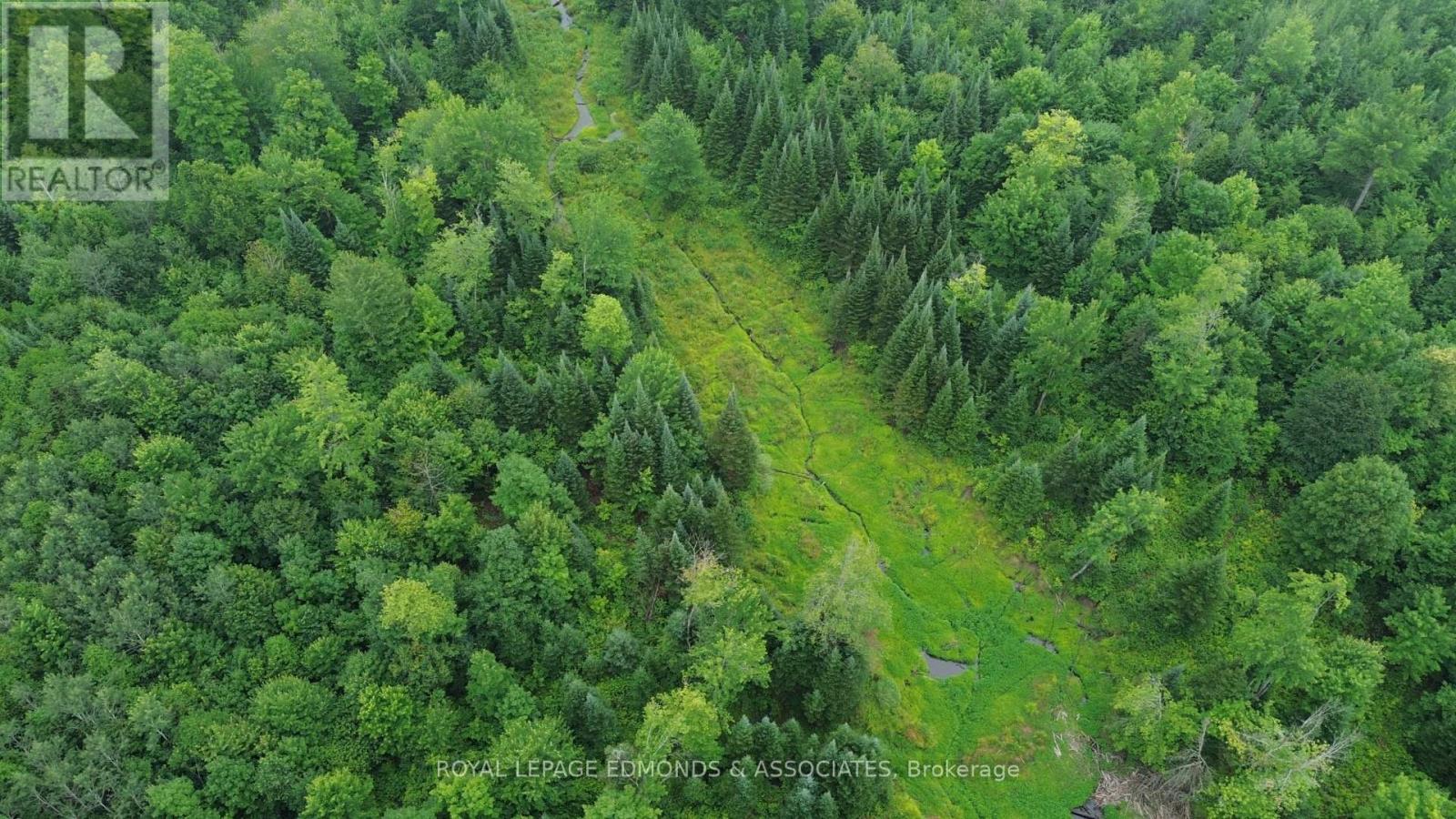 650 Westmeath Road, Whitewater Region, Ontario  K8A 6W2 - Photo 7 - X13596938