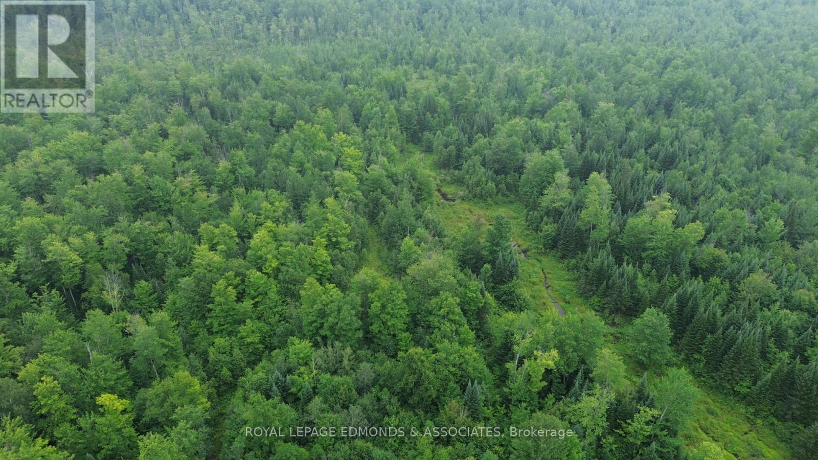 650 Westmeath Road, Whitewater Region, Ontario  K8A 6W2 - Photo 8 - X13596938