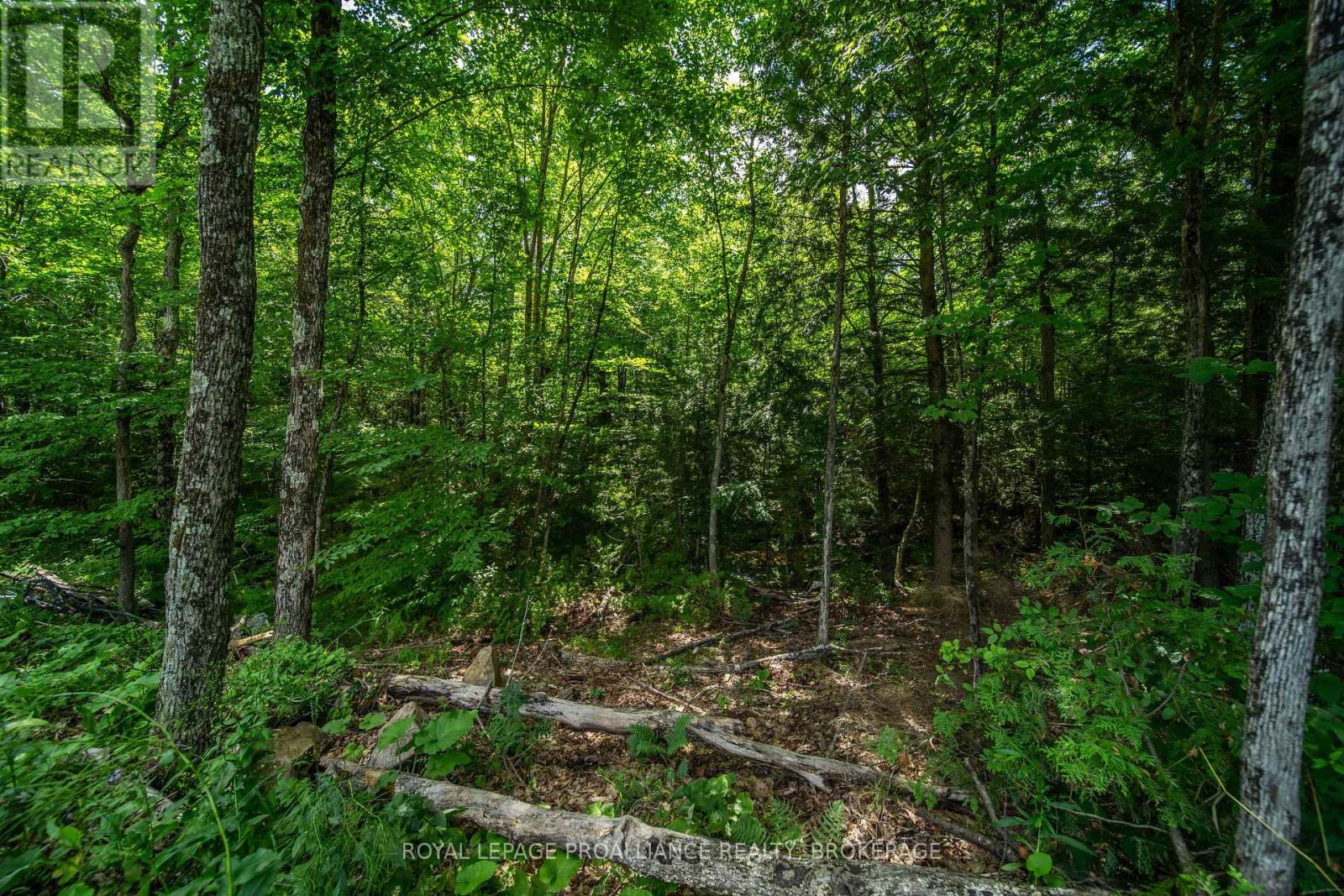 Lot 18,  Part 3 Townline Road, Frontenac, Ontario  K0H 2P0 - Photo 12 - X13543852