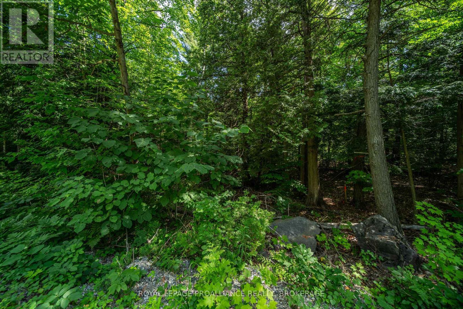 Lot 18,  Part 3 Townline Road, Frontenac, Ontario  K0H 2P0 - Photo 11 - X13543852