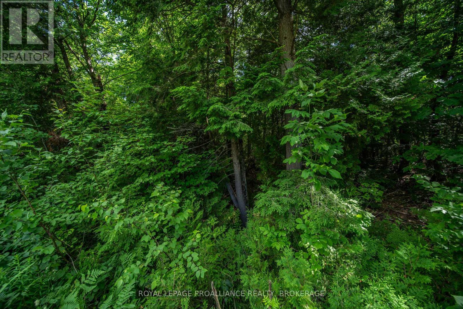 Lot 18,  Part 3 Townline Road, Frontenac, Ontario  K0H 2P0 - Photo 10 - X13543852