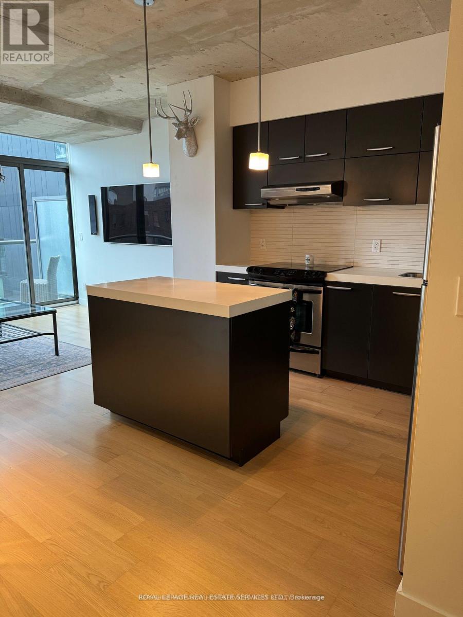 614 - 55 Stewart Street, Toronto, Ontario  M5V 2V1 - Photo 2 - C13597446
