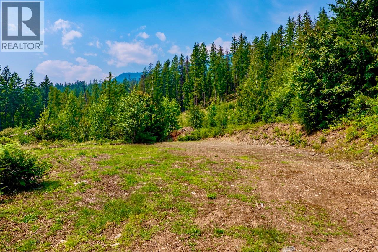 7879 Pine Avenue Lot# 70, Anglemont, British Columbia V0E 1M8 - Photo 7 - 10394221