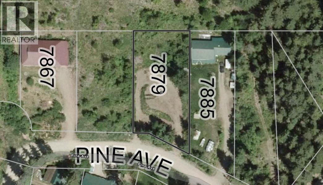 7879 Pine Avenue Lot# 70, Anglemont, British Columbia V0E 1M8 - Photo 5 - 10394221