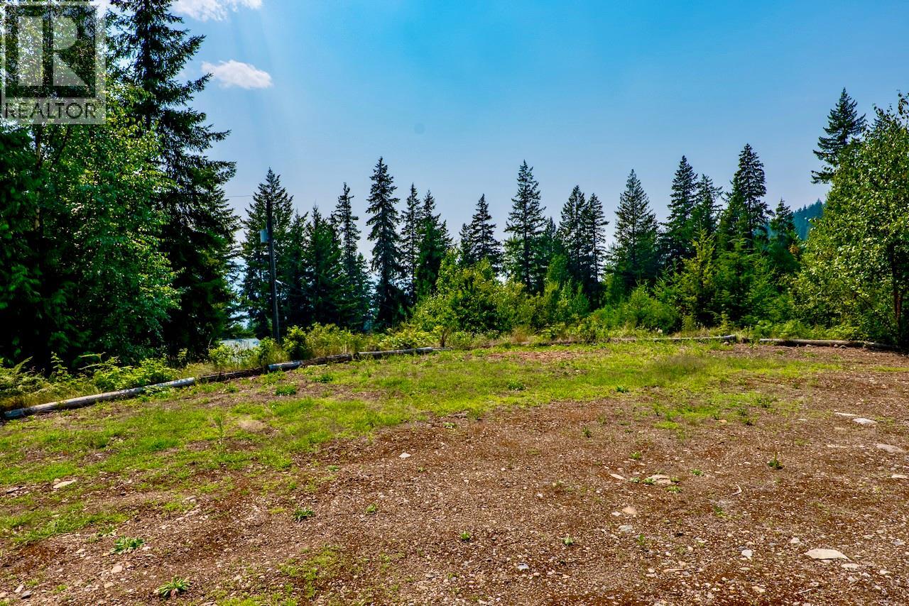 7879 Pine Avenue Lot# 70, Anglemont, British Columbia V0E 1M8 - Photo 8 - 10394221