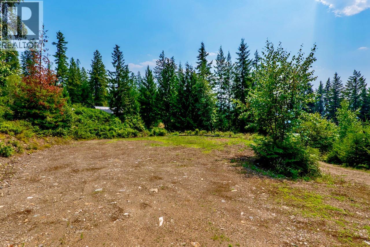7879 Pine Avenue Lot# 70, Anglemont, British Columbia V0E 1M8 - Photo 23 - 10394221