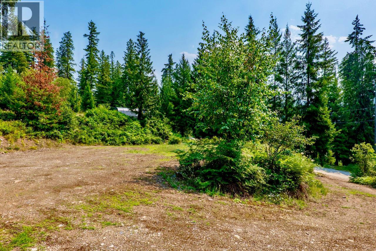 7879 Pine Avenue Lot# 70, Anglemont, British Columbia V0E 1M8 - Photo 6 - 10394221