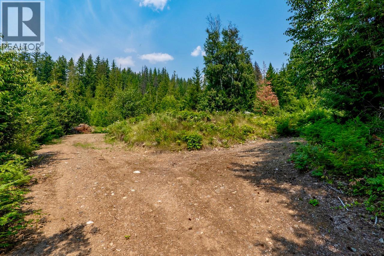 7879 Pine Avenue Lot# 70, Anglemont, British Columbia V0E 1M8 - Photo 25 - 10394221