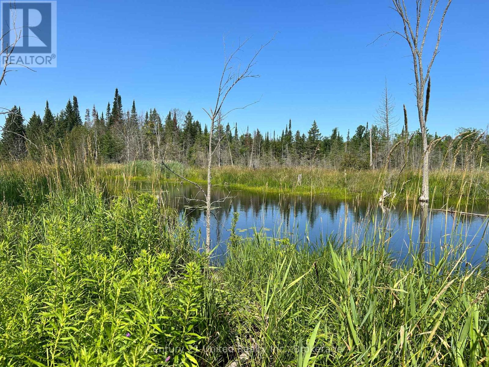 00 Highway 7, Marmora And Lake, Ontario  K0K 2M0 - Photo 3 - X13594790