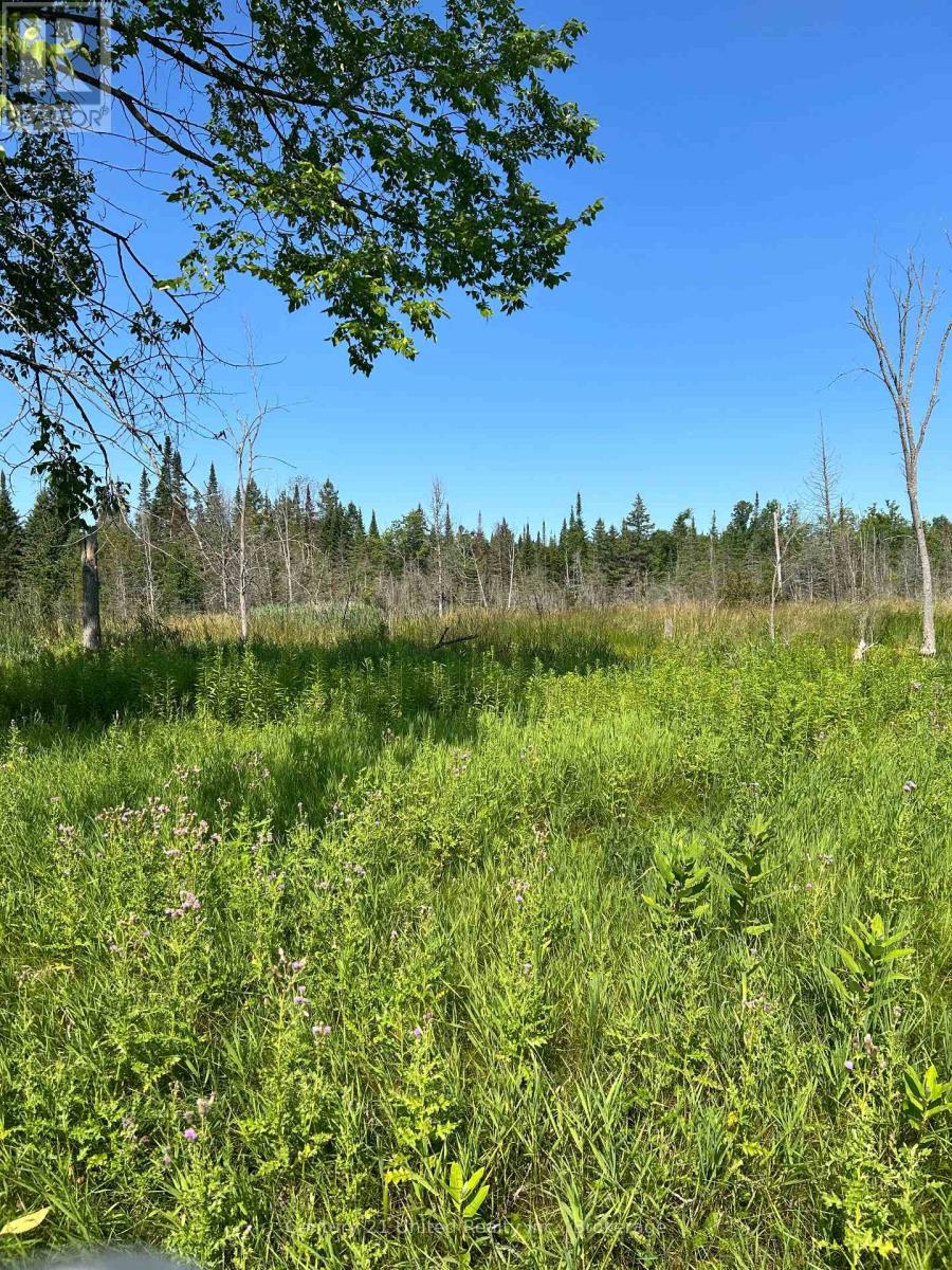 00 Highway 7, Marmora And Lake, Ontario  K0K 2M0 - Photo 2 - X13594790