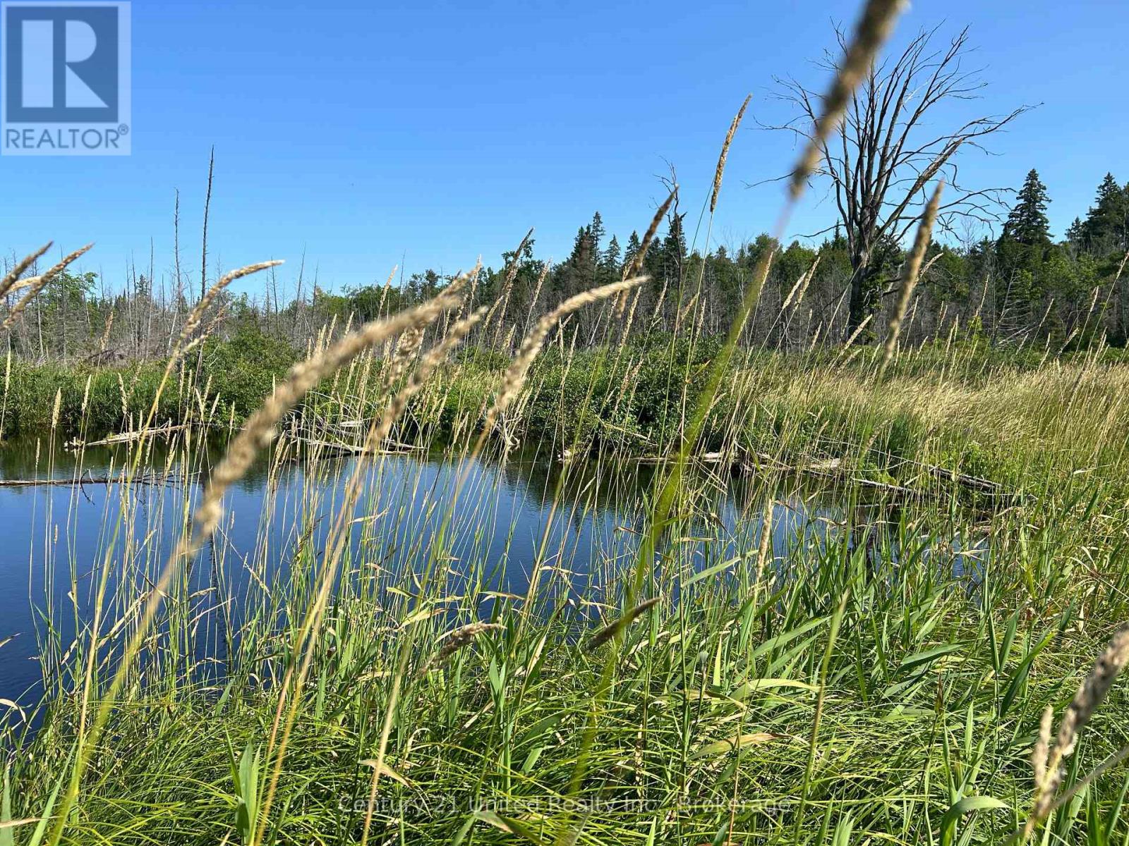 00 Highway 7, Marmora And Lake, Ontario  K0K 2M0 - Photo 4 - X13594790
