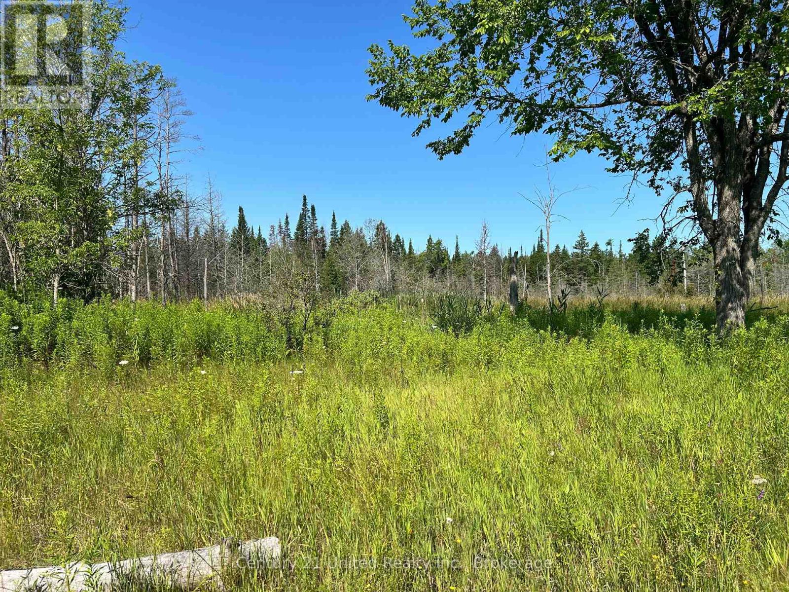 00 Highway 7, Marmora And Lake, Ontario  K0K 2M0 - Photo 6 - X13594790