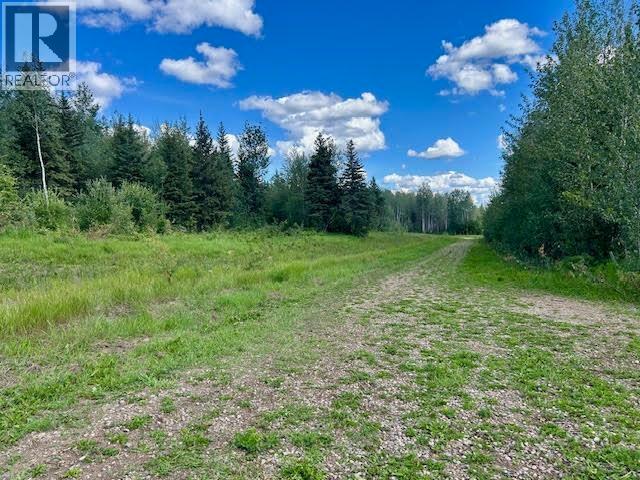 319 Alaska Highway, Fort Nelson, British Columbia  V0C 1R0 - Photo 5 - R3144848