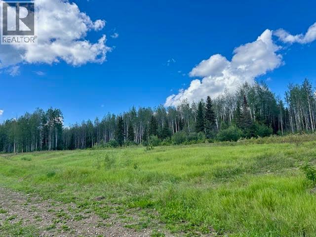 319 Alaska Highway, Fort Nelson, British Columbia  V0C 1R0 - Photo 11 - R3144848