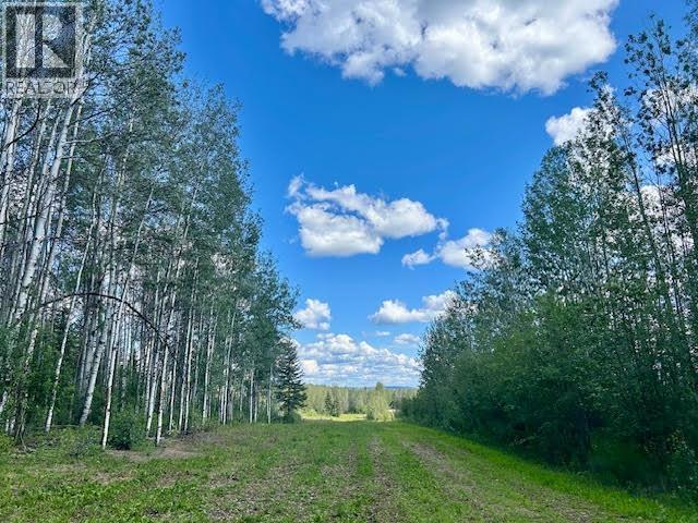 319 Alaska Highway, Fort Nelson, British Columbia  V0C 1R0 - Photo 12 - R3144848