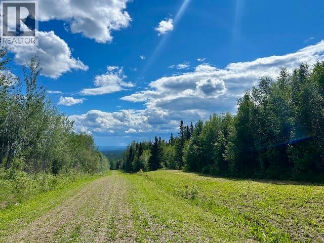 319 Alaska Highway, Fort Nelson, British Columbia  V0C 1R0 - Photo 13 - R3144848